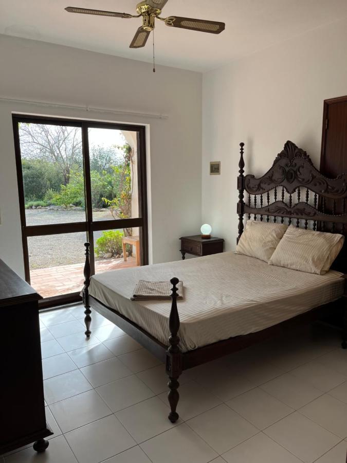 Boliqueime House Daire Dış mekan fotoğraf